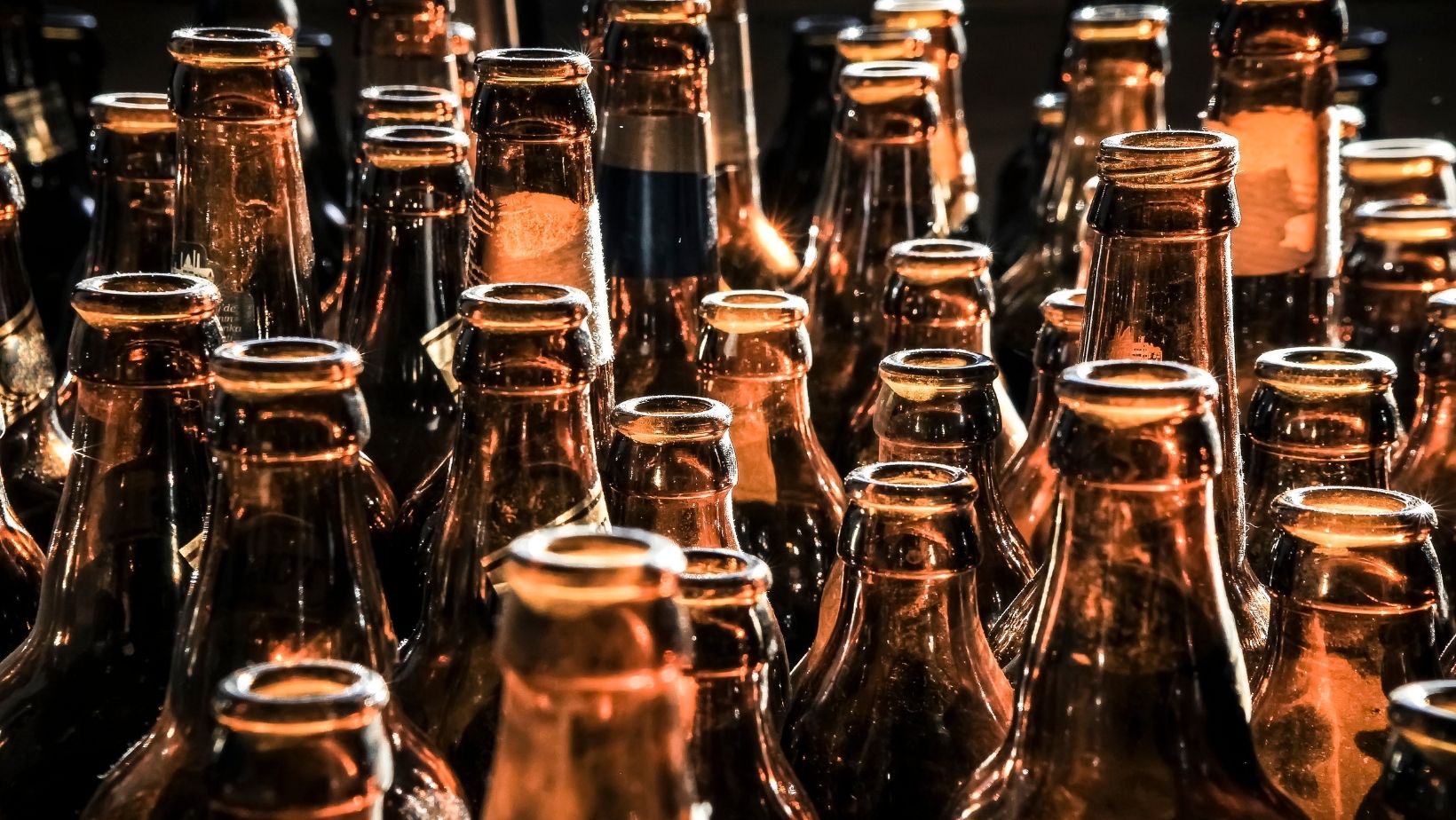 beer bottles for home brewing